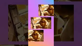 Thumbnail: VHS Snippets - 'Sip Happens' - Schweppes Lemonade #shortsvideo