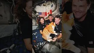 Thumbnail: Moon Mission Secret Cat Revealed... #spacecat #subscribe #videosAIprovideo cat space