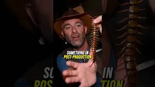 Thumbnail: The Secret To Coyote Peterson's Wildlife Content