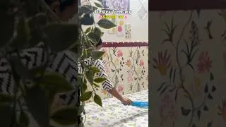 Thumbnail: 🪖Small stories from sarkari ghar #minivlog #sarkarighar #homedecor
