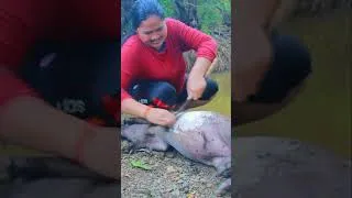 Thumbnail: #cooking #babyanimal #primitivevillagelife #village_cooking #chickenrecipes #primitivesurvivallife