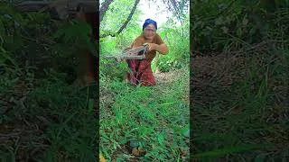 Thumbnail: #primitivevillagelife #village_cooking #babyanimal #primitivesurvivallife #babydog #cooking