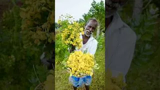 Thumbnail: Avaram poo Recipe |Village Medicine #cooking #how #food #nature