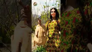 Thumbnail: Cooking Stuffed Fried Ducks #iran #villagestyle  #nomadicfamily #cooking #duck  #food