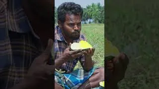 Thumbnail: yellow watermelon cutting eating #shorts #shortvideo #watermeloncutting