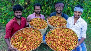 Thumbnail: jujube fruits harvesting #shorts #fruitharvesting #jujube