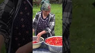 Thumbnail: The Sweetest Strawberry Harvest Ever! 🍓✨