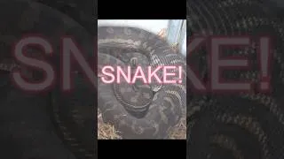 Thumbnail: 8 May 2026