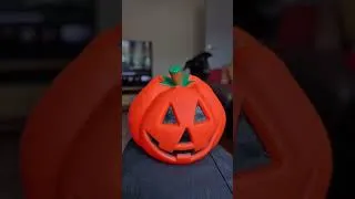 Thumbnail: Doggo is an Autumn, whether it likes or not!  #fyp #shorts