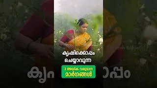 Thumbnail: Top 3 Side Income Ideas for Farmers | Best Farm Side Businesses |  Farming Business Ideas 2026