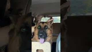 Thumbnail: Mom Don't Stop!