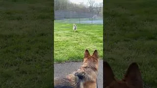 Thumbnail: Leash vs Unleash