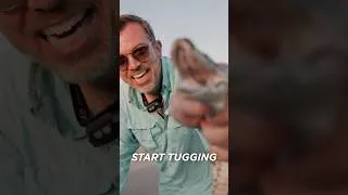 Thumbnail: Ferrari Enzo owner gets bitten by a giant python!