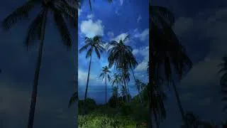 Thumbnail: In The Clouds #music #deephouse #deepsleep