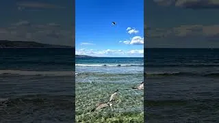 Thumbnail: Fade  Into  Blue #deepfusic #music