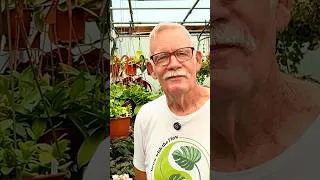 Thumbnail: Rare Plant Heaven 🌿 Inside Steve’s Leaves