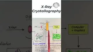 Thumbnail: X Ray cryatallography