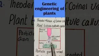 Thumbnail: genetic engineering of plants #visiblescience