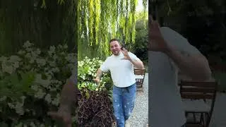 Thumbnail: Amazing sun and shade plants! Wicked witch coleus and sure fire white begonia.