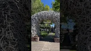 Thumbnail: Grand Teton & Yellowstone National Parks Travel Tips | Wyoming