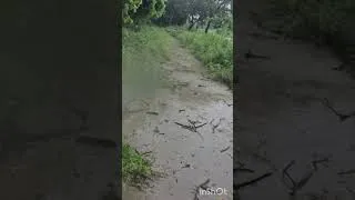 Thumbnail: Taiwan Typhoon Bavi | 台灣 巴威颱風