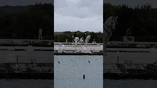 Thumbnail: Versailles 🏰🇫🇷 Equestrian Show 🐎 #versailles #france