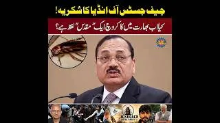 Thumbnail: Thank You, Chief Justice of India | Is “Cockroach” Now a Sacred Word? | Saqlain Imam