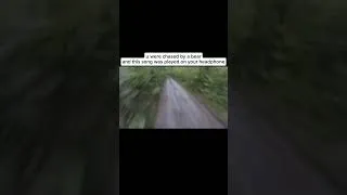 Thumbnail: bro should be the one who chased the bear💀