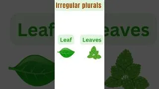 Thumbnail: Irregular plurals in english