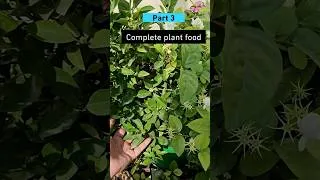 Thumbnail: Complete plant food- Totally organic, best fertilizer for all plants. #gardening #organic #plantcare