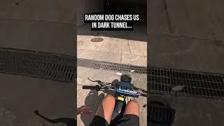 Thumbnail: This Dog chased us on our E-Bikes... #ebike #surron #fyp #bikelife
