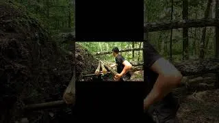 Thumbnail: A Secret Hideout Deep in the Forest. Part 1