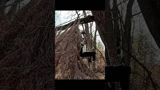 Thumbnail: Hanging shelter made of forest materials