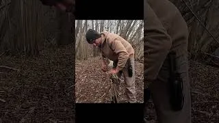 Thumbnail: I build a shelter on a tree from reeds – like a bird’s nest