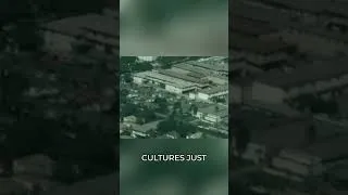 Thumbnail: Is Culture Being Squeezed Out? The Fight for Breathing Room