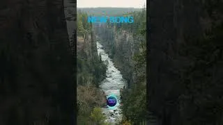 Thumbnail: Bring The Ace #newsong #world  #tiktok #music #ai #aivideo