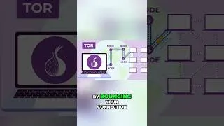 Thumbnail: How Tor Actually Hides Your IP Address