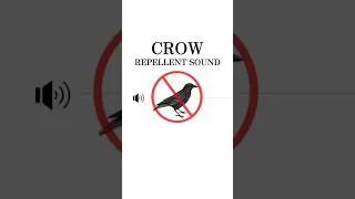 Thumbnail: Effective Crow Repellent Sound with Hawk Calls and High-Frequency Tones
