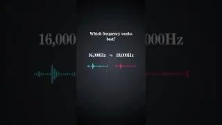 Thumbnail: Which sound works? Mouse Repellent: 16,000Hz vs 19,000Hz