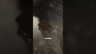 Thumbnail: What to do during a tornado warning