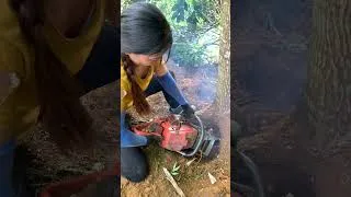 Thumbnail: agricultural vehicles transporting timber