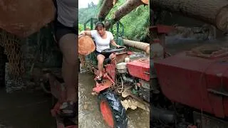 Thumbnail: agricultural vehicles transporting timber