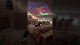 Thumbnail: I’m never going to shut up about my projector