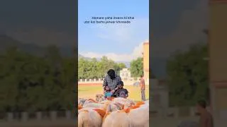 Thumbnail: Eid mubarak ❤️