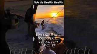 Thumbnail: Miami’s most wanted sunset session.    You can Watch the Sunset or Live It with Wake Mia
