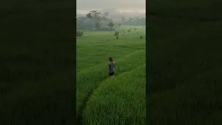 Thumbnail: Didn’t expect this view on my morning walk 📌 Sidemen, Bali