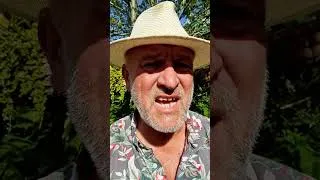 Thumbnail: How to grow the Glory Lily - Gloriosa superba. It's easy, but deadly!