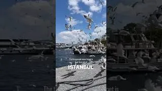 Thumbnail: When is your plan to visit #istanbul ? #travel #turkey #destination #touristattraction #walking