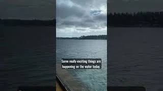 Thumbnail: Bremerton to Seattle ferry. #pacificnorthwest  #exchangestudents