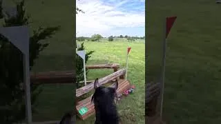 Thumbnail: Belline Foody's Out of the Blue (2026 American Eventing Championships)  #horse #equestrian #GoPro
